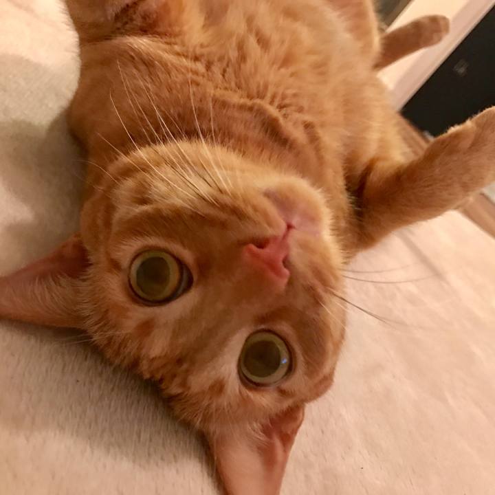 6aa97187 605a 4fce 8566 62778ceb26d8 1616416379405