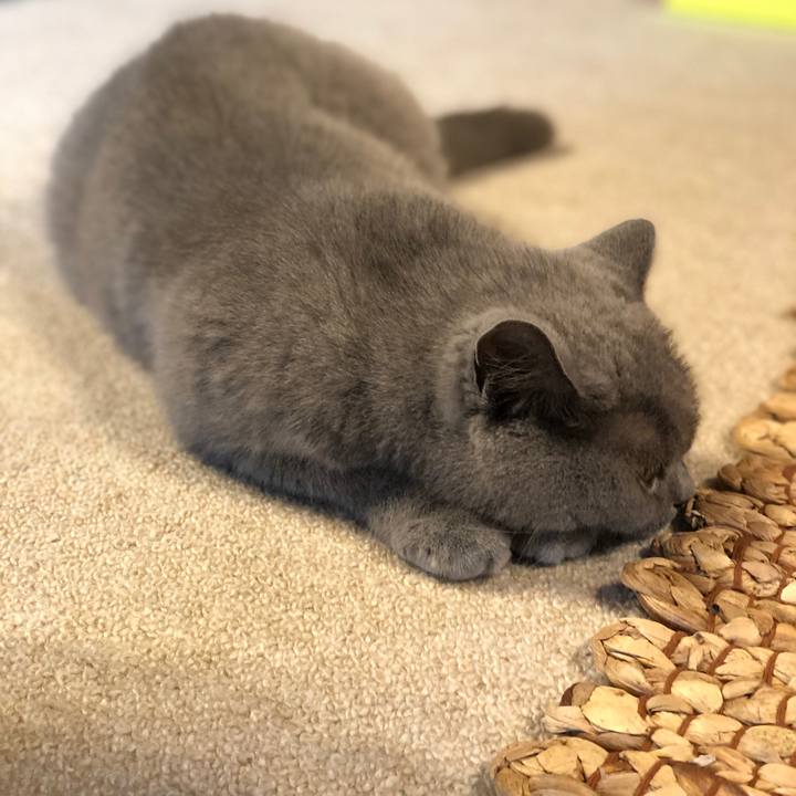 6aa996d1 839f 44d3 be47 94b82746e54f 1594375094856