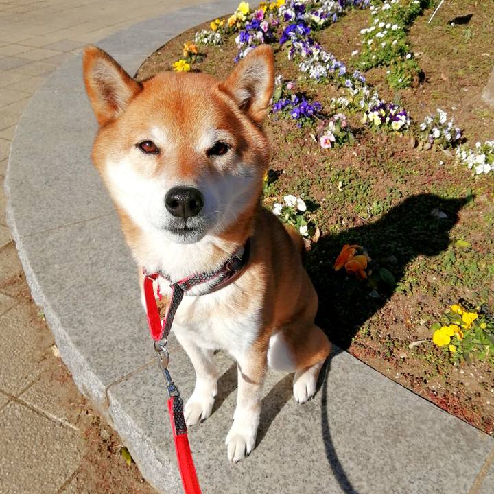 6aa9b4d5 366c 4f92 ac8b 6cb02dec4a27 1676854740340