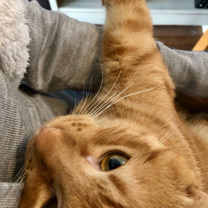 6aa9e7d7 71fc 4af1 afa6 9d92e6a82f3b 1737770775069