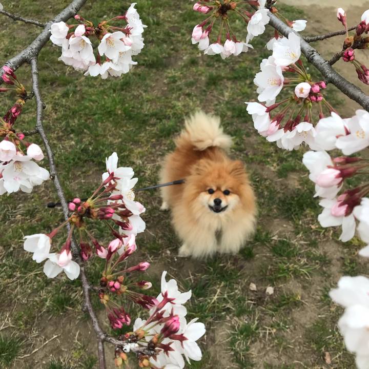 6aaa0fed e085 4a53 8f3c 075e91dcd20f 1553912246877