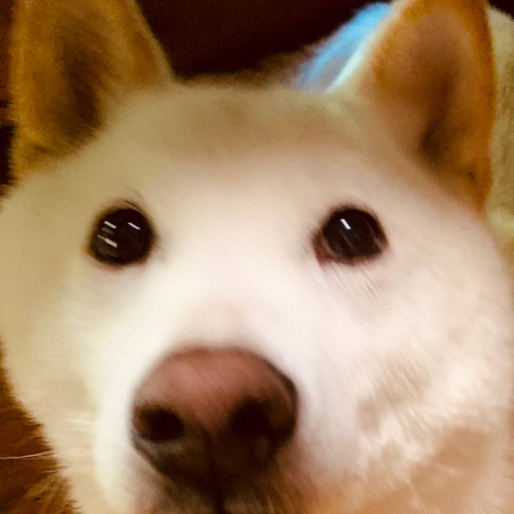 6aaa1751 eb1c 4b9e b0d0 e11462e0530c 1612420879297