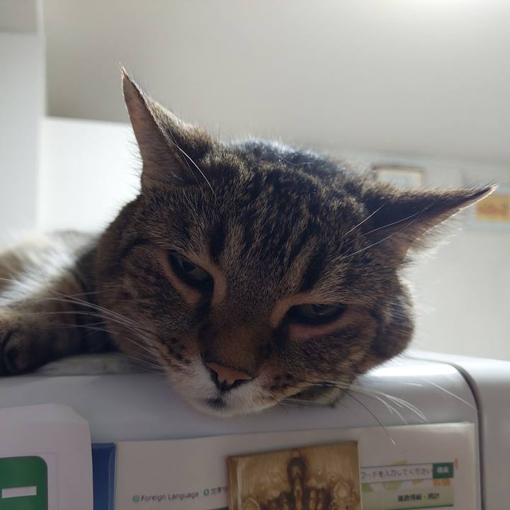 6aaa2532 3911 4f27 8593 e08220516bf1 1627422135501