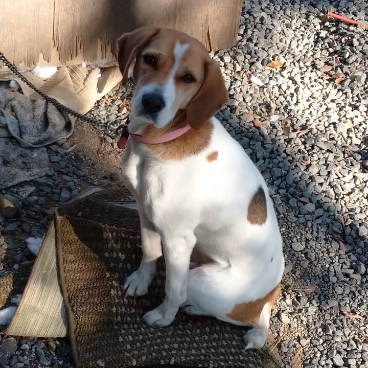 6aaa3c4c 12c5 426c aa5b c02f86e0560b 1579493858540