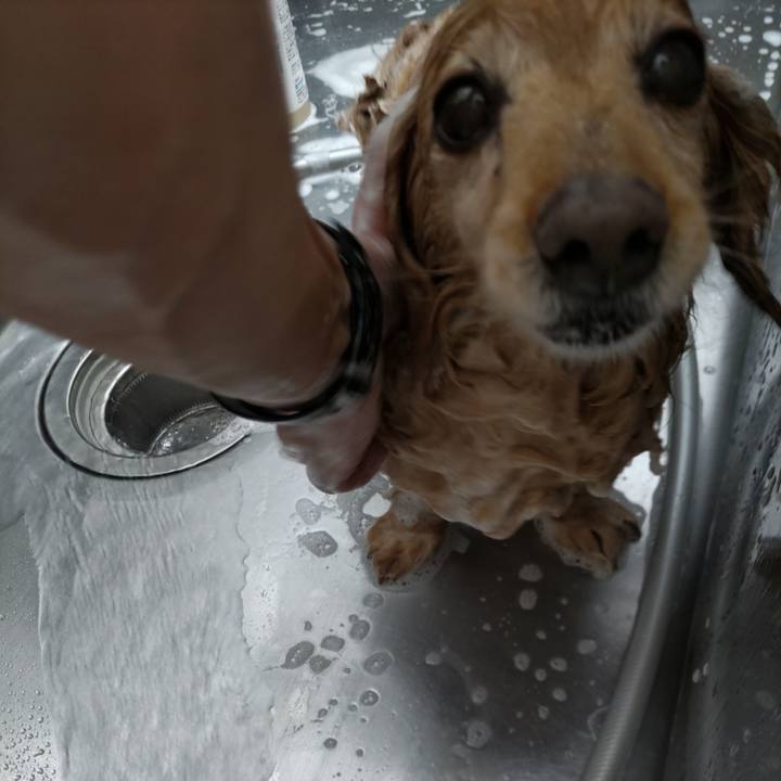 6aaa69bb db9a 44f7 8867 59bf5cba4e37 1712531610939