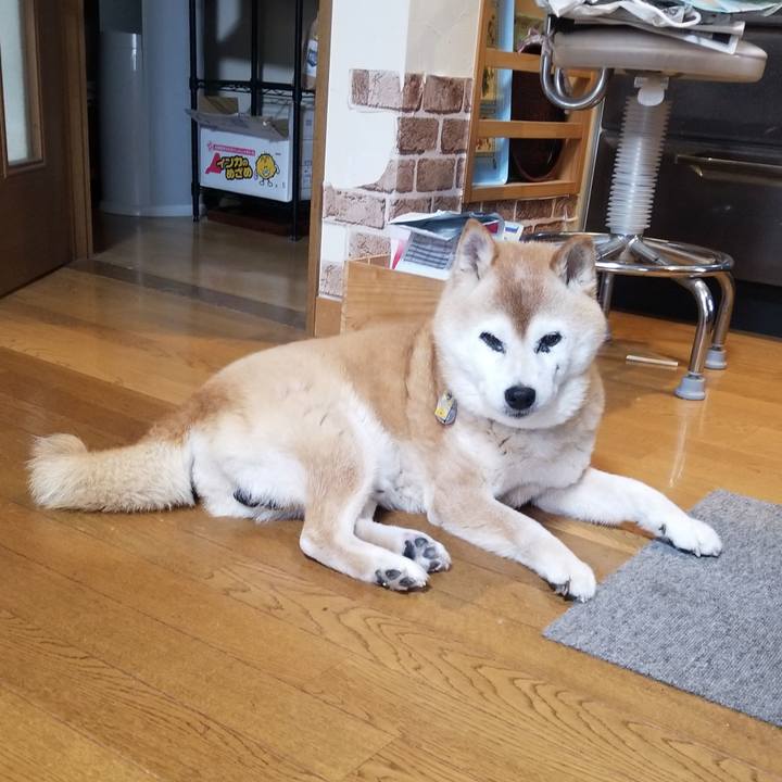 6aaaa347 d4d6 42e2 90ab 4b61cf96c6eb 1749610603143