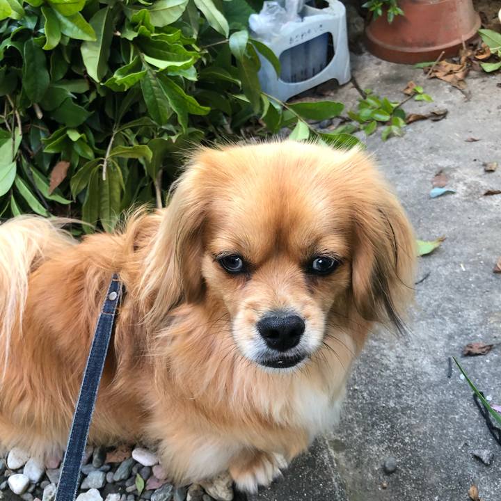 6aaab8fb e557 447d 8eb1 147d9966efdd 1557957752966