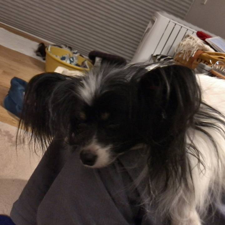 6aaac6a5 85d4 452c 8526 abf33429c163 1606129317895