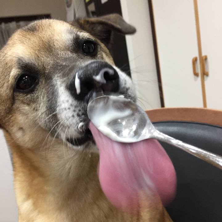 6aaaee78 5e4d 4cf8 96c8 b4ccaaf434de 1511433379183