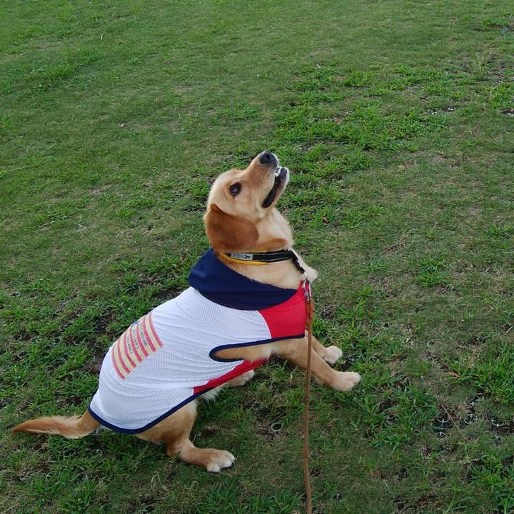 6aab1c0e b689 4e91 ac0d 5eb5250e30ab 1536465581848