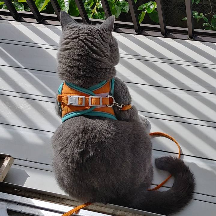 6aab2ba2 13d5 4647 9f36 74f362489668 1653179808323