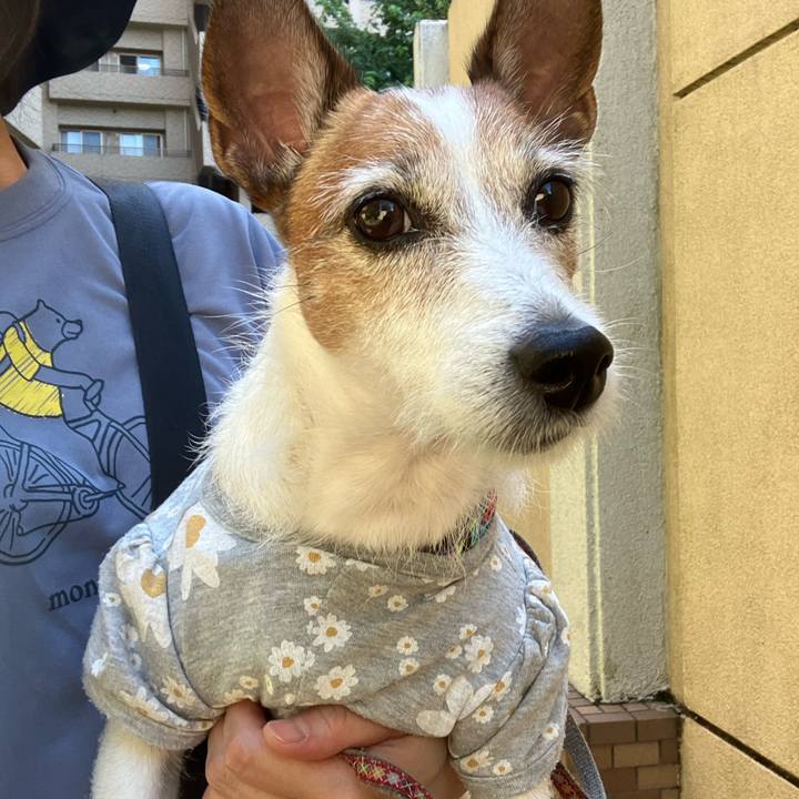 6aab33d1 6609 407a 9d6f e17d84f9e219 1664407561096