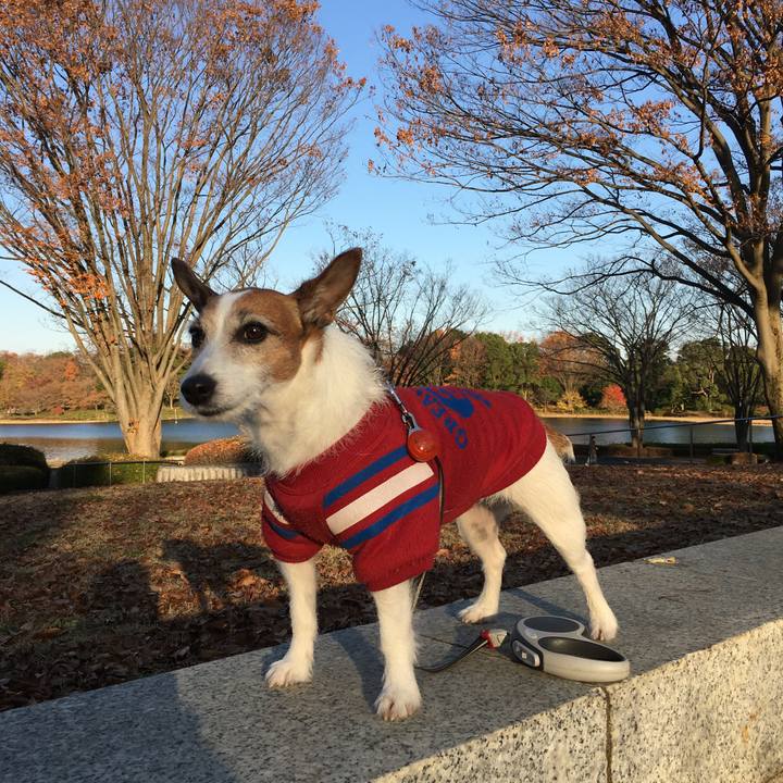 6aab3a71 dfcf 481b 8ab1 5dfa29f9430f 1576466198499