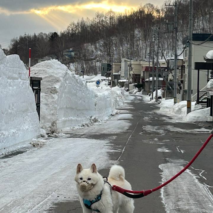 6aab43bd 7a25 4a76 93ab 218afa6027e4 1772317303449