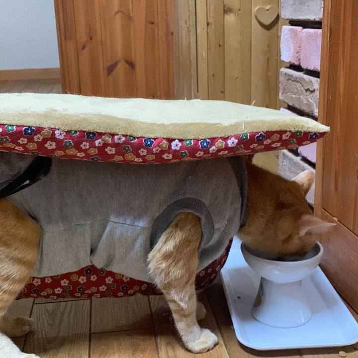 6aab7069 ef69 4d02 b1f6 6ab65cd2a844 1641556659314