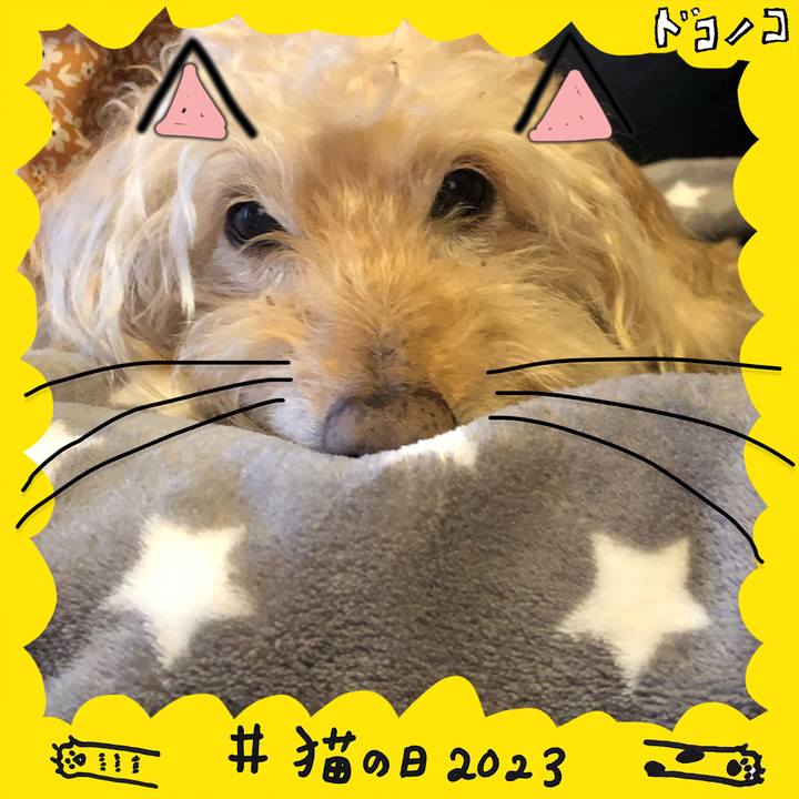 6aab7f86 9ff7 4b05 91df a5514b4051a7 1677059357895