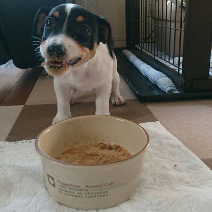 6aab849e 8bf9 4188 9af2 372521219c35 1510884448954