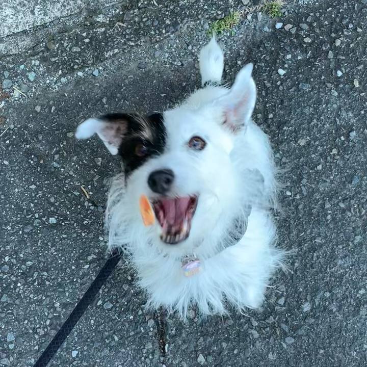 6aabe3a9 f1c9 4177 ad93 f651f8d16c06 1666311876249