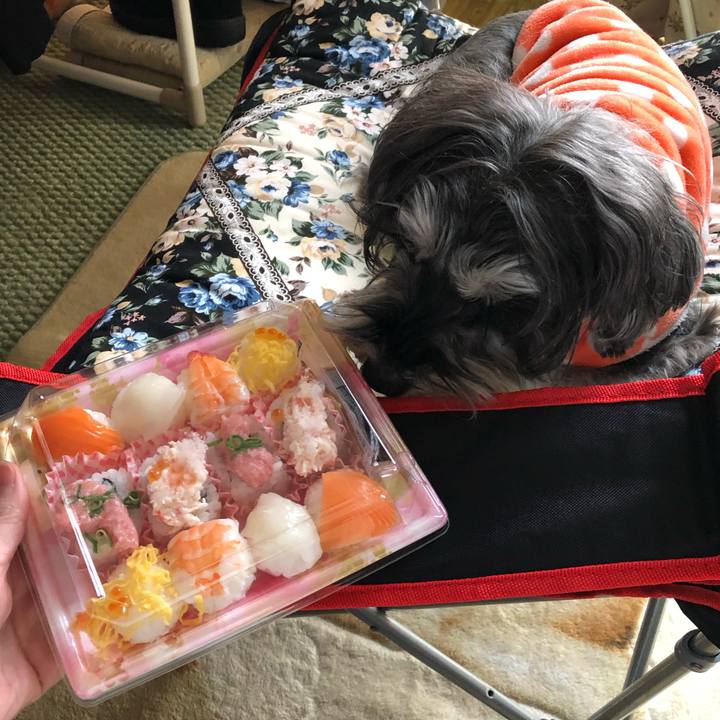 6aac16bf 7db8 4312 85cf 7d06c70d20ed 1551616272226