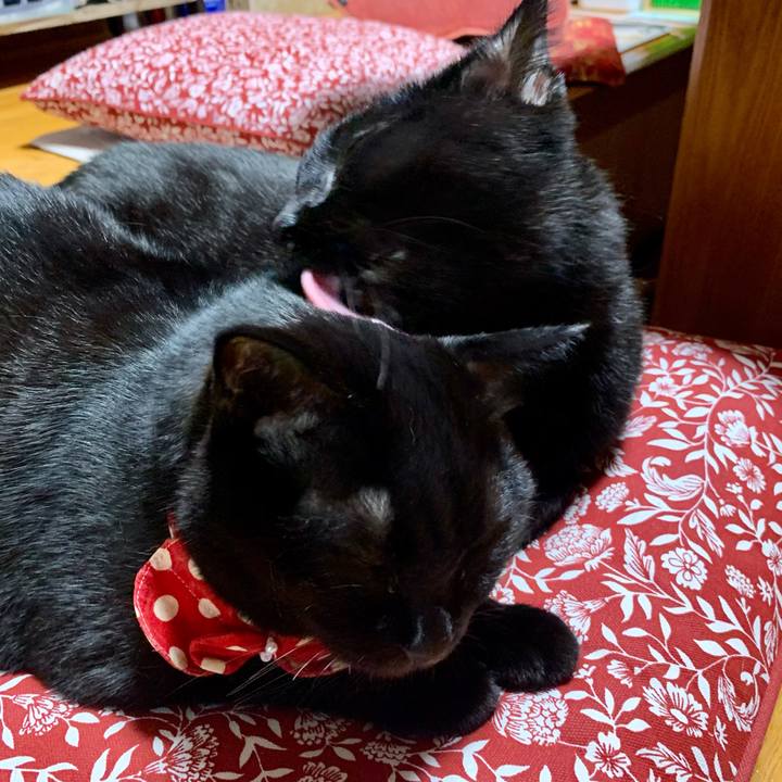 6aac3b28 44b4 4895 bccc 382595f8b669 1604707674145