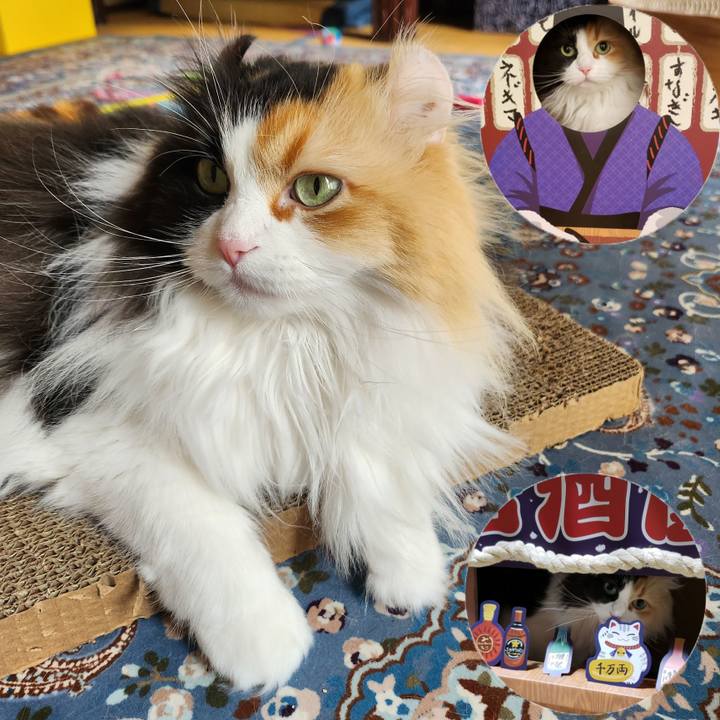 6aac3dbe 4e76 4ee9 bd50 cb628038cc69 1712955865797