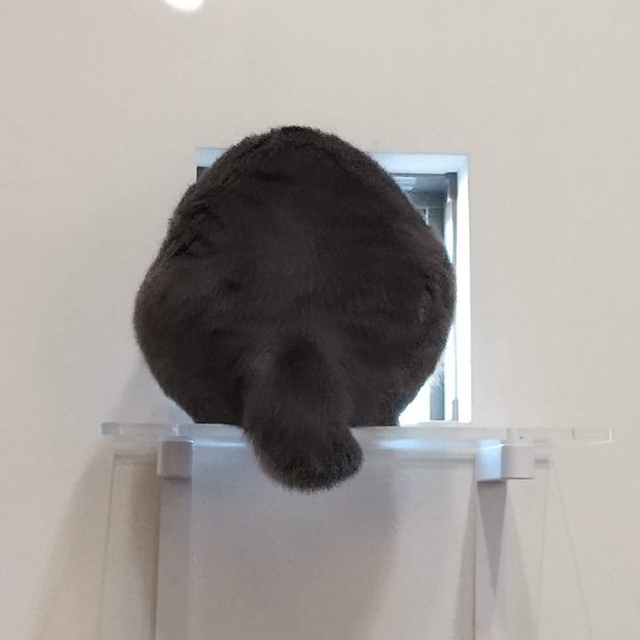 6aac599e badd 43de b605 97fc58e6e361 1661932702482