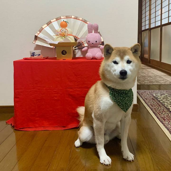 6aac6762 df92 4422 8e99 f5410e57a105 1672564780176