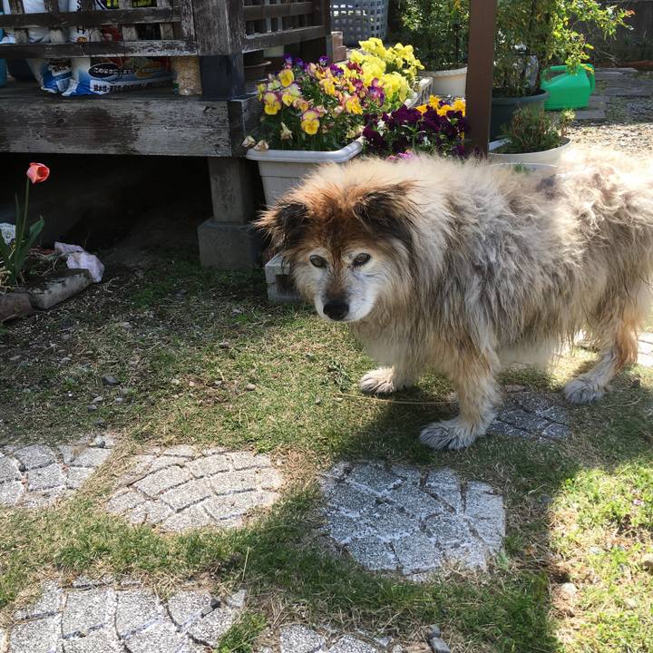 6aac97f4 190a 4717 9781 f7e35987b05c 1576822681695