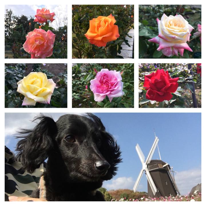 6aacb297 8fd7 47d0 9508 db8965409623 1510218807141