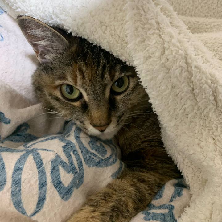 6aacb939 b407 474c 9218 9f4ed8ea351b 1682162103474