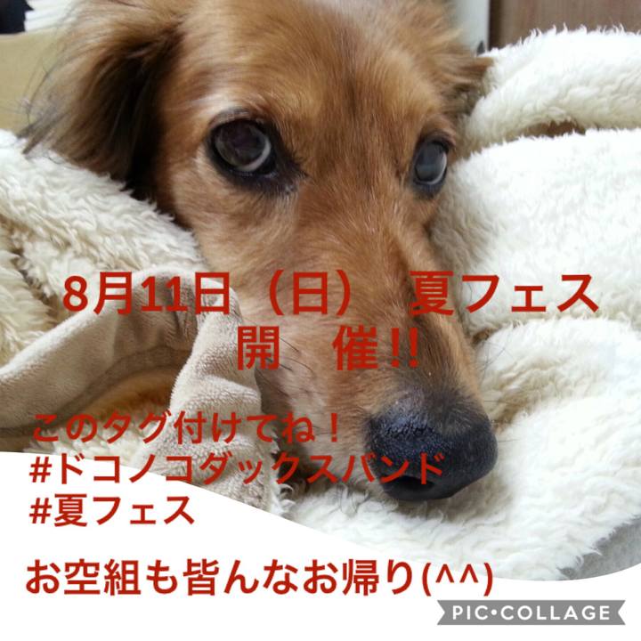 6aacdfae e998 4cf7 b54e 7d06f9454c30 1564821817230