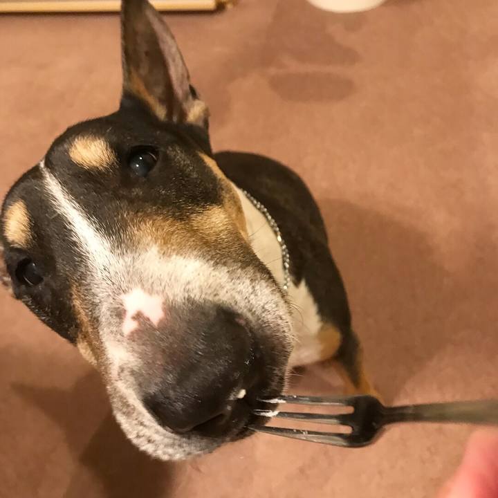 6aace94c 94d7 4eb3 a90c d98373b2888e 1526817142775