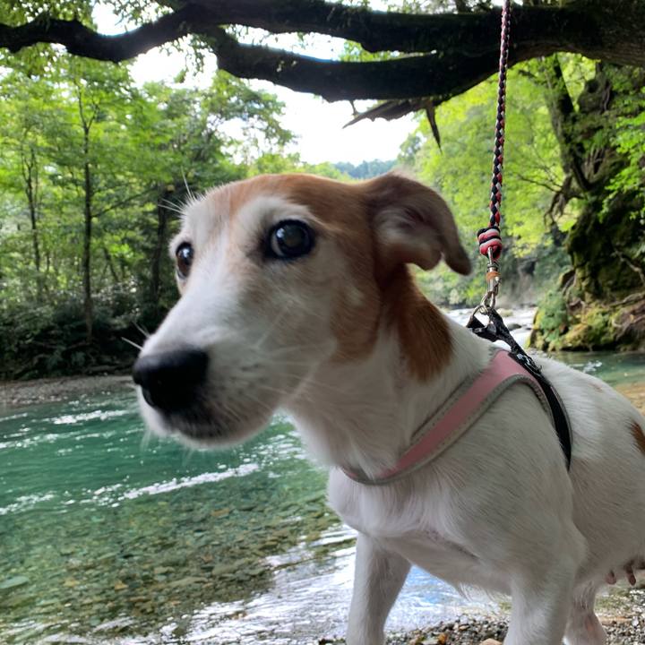 6aad13b4 ed5f 47e1 be24 8f06f861fc75 1602684937447