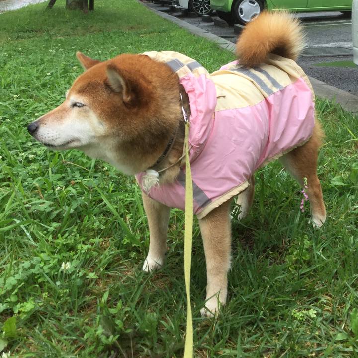 6aad1833 da0f 48e1 8442 b80b350d85dc 1593334076960