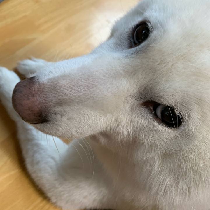 6aad4f95 8f42 46af 84d0 d65c1aa722f0 1642206491614