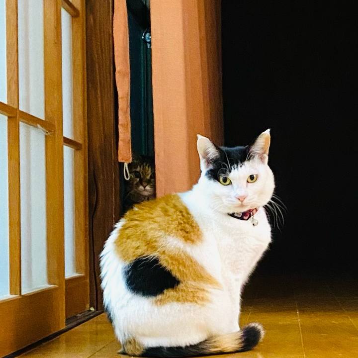 6aad68d0 d097 445b a7a8 b7b2fdfe0ed8 1670679538926