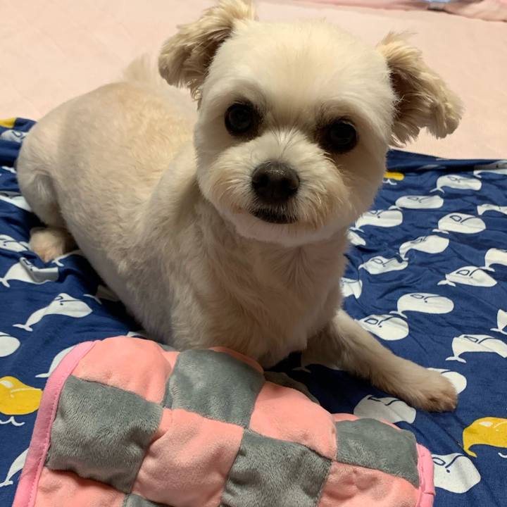 6aad6992 e5ea 4d43 8954 f1e6b89ba99c 1595156631746