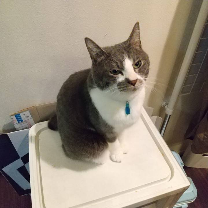 6aad6a5c c9bc 48aa b44a 11257097fed5 1644789610455