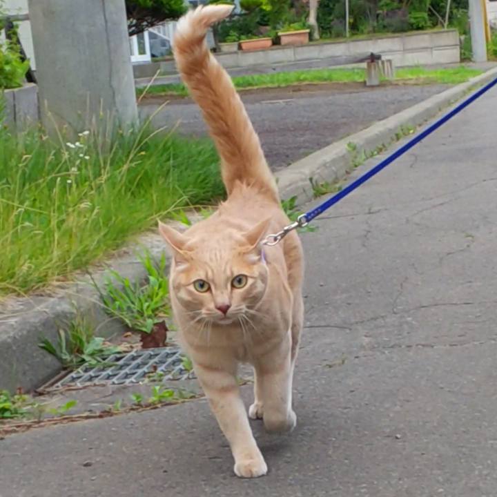 6aad80ff 2d5f 4a0b b614 d8a6114642e8 1595583503138