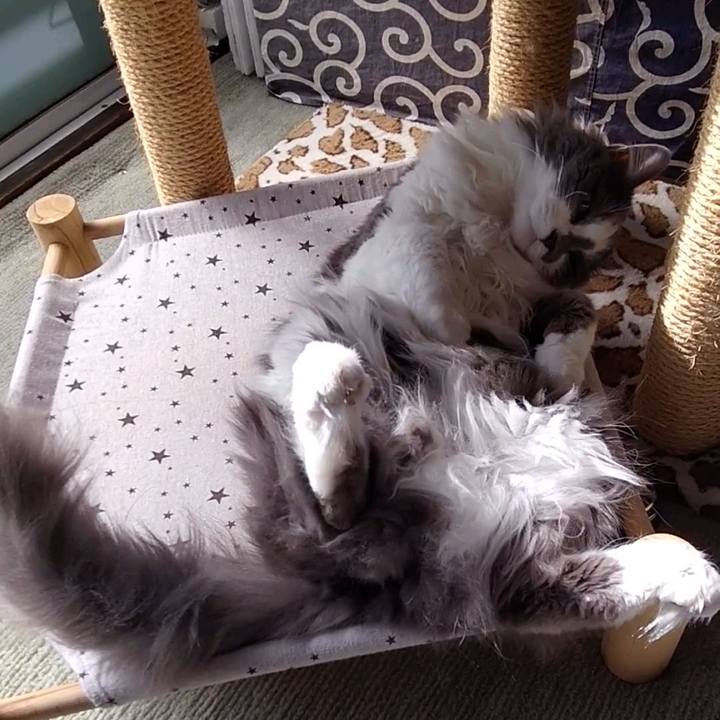 6aad9220 54ea 4c25 996a 02389736b741 1677734805792