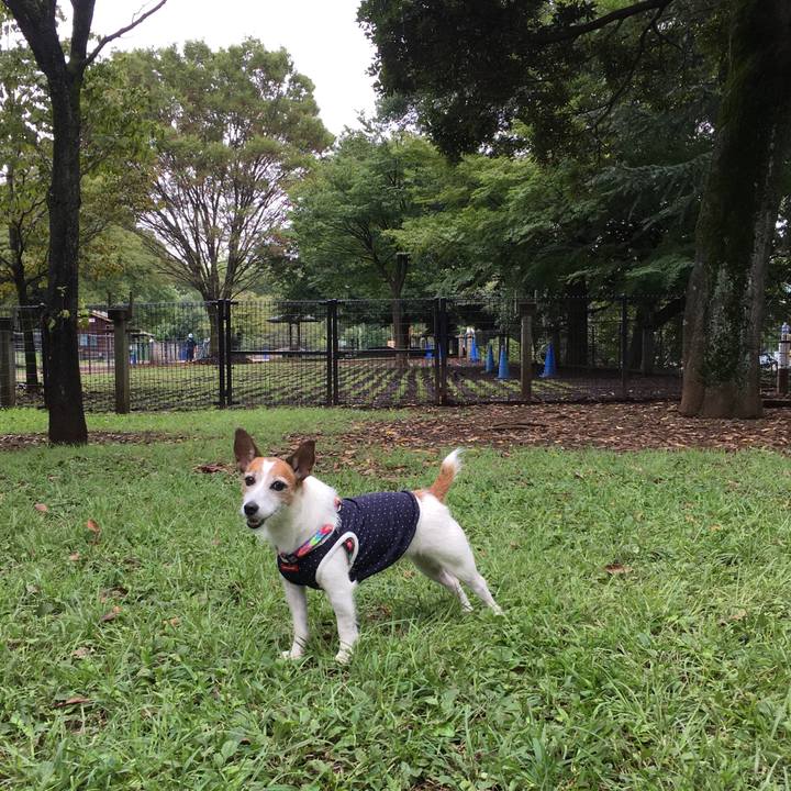 6aad97d7 1ef6 4f0b a2dc 5f21b2b212cb 1630970914769