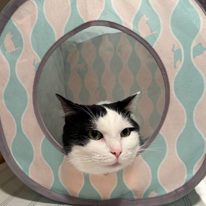 6aada03f 0cc8 49cd bc21 e73496bdd863 1758414471813