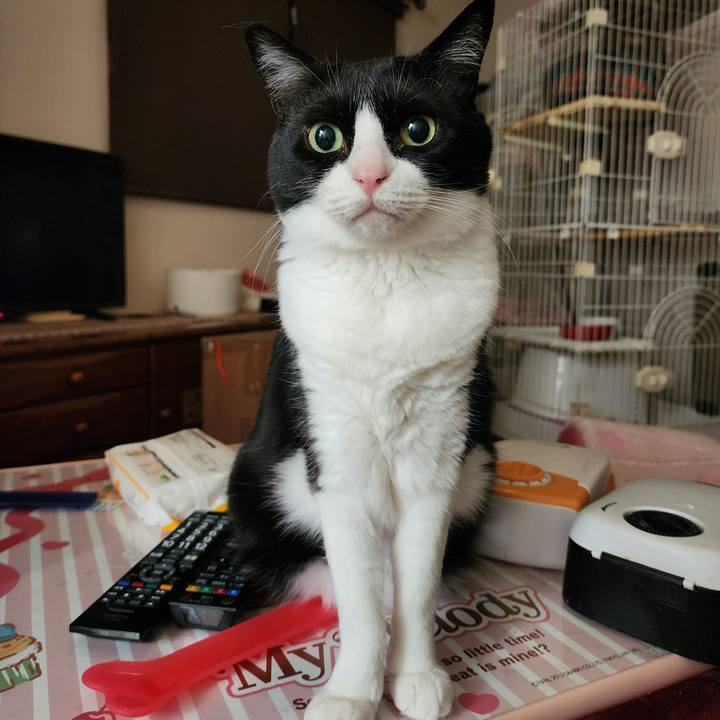 6aadb1e5 f00e 4b2f 9f1c 56cb920c4474 1771150108487