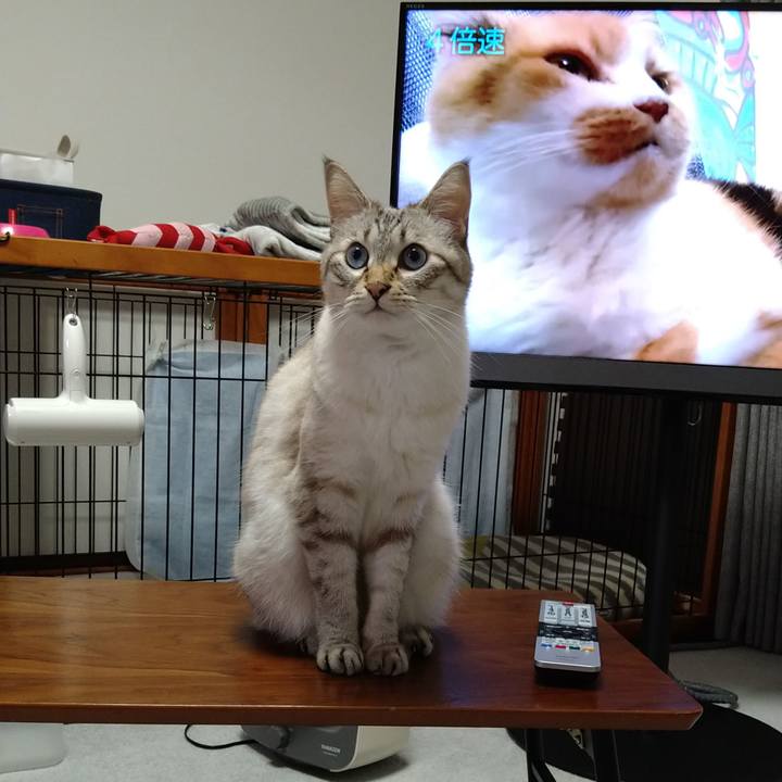 6aadd1b5 60fc 4af7 8786 9af73dea6913 1631955806471