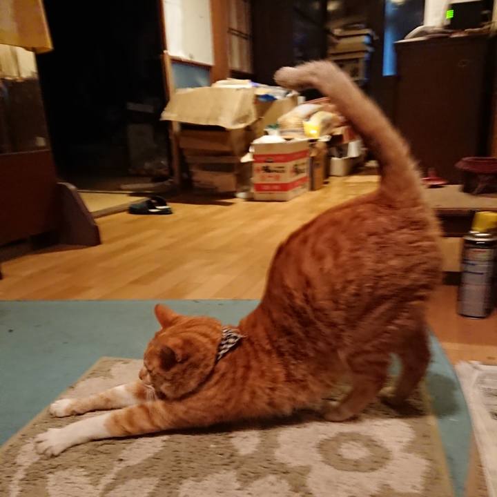 6aadd9ab d8b7 4304 a810 71650394616b 1572425729921