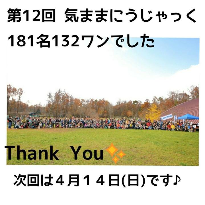 6aae0e91 0969 4cd4 8ee9 fb29af04033f 1542015816312