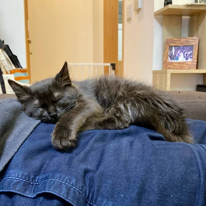 6aae3a49 43f8 4a9a 9c01 71bfb27caa61 1702122929445