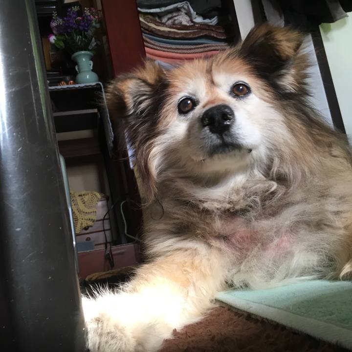 6aae72fe 9d75 4ab4 9793 3ea6e1ece6d5 1548458281185