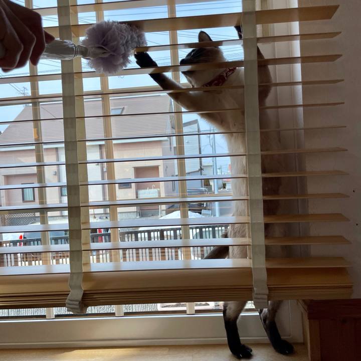 6aaea163 cf8b 4f98 a926 b27524efbaeb 1710891199852