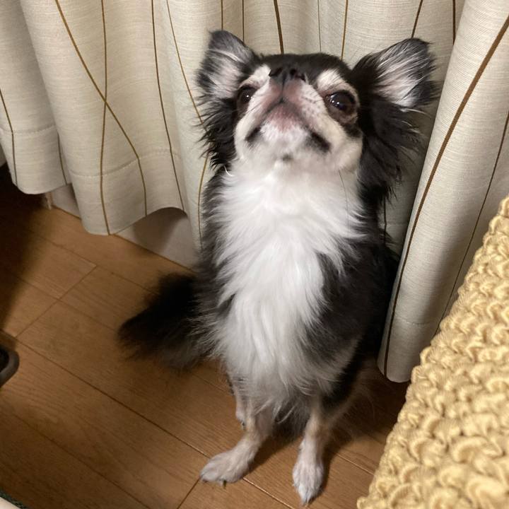 6aaead61 a191 49cc b8d8 9605f5723bd3 1660401256061